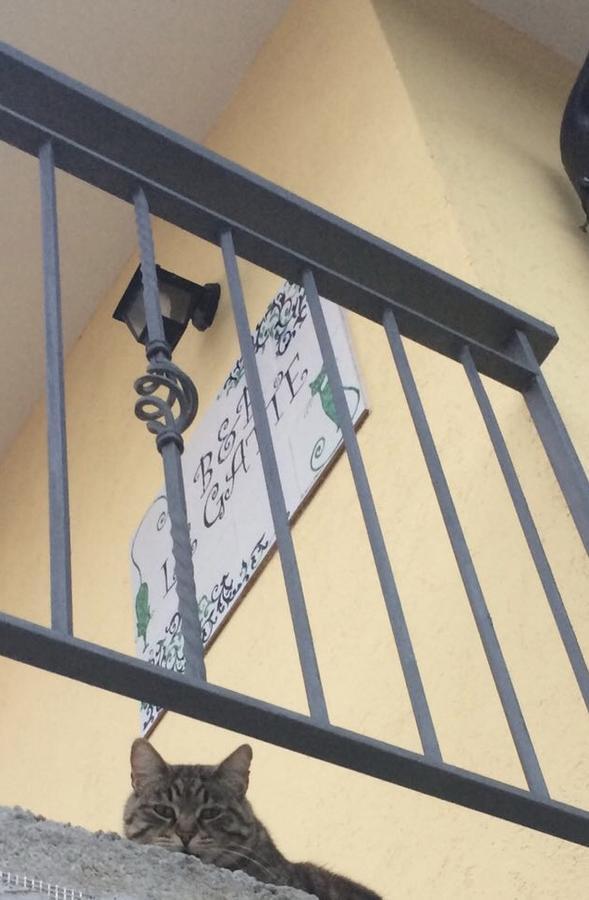 Le Gatte Bed & Breakfast Eboli Luaran gambar